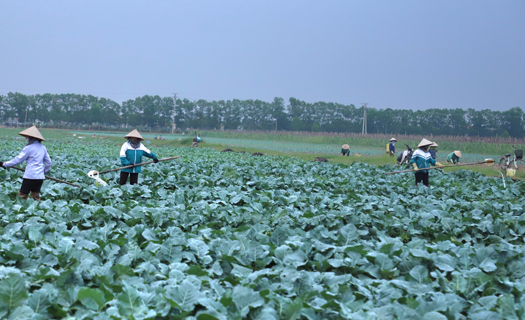 Để người nông dân trở thành doanh nhân